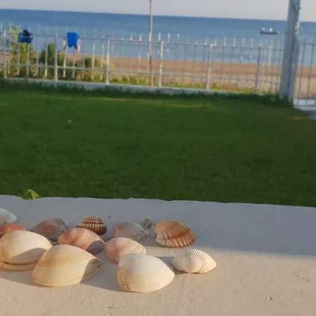 Ionion Sea * 카타콜론